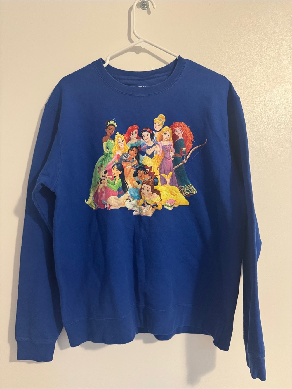 Disney Princess Sweatshirt